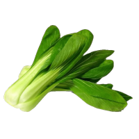 Bok Choi